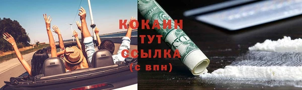 spice Богданович