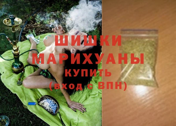 spice Богданович
