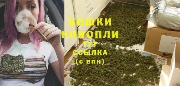 apvp Богородицк