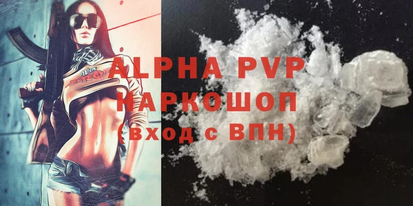 spice Богданович