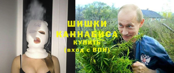 apvp Богородицк