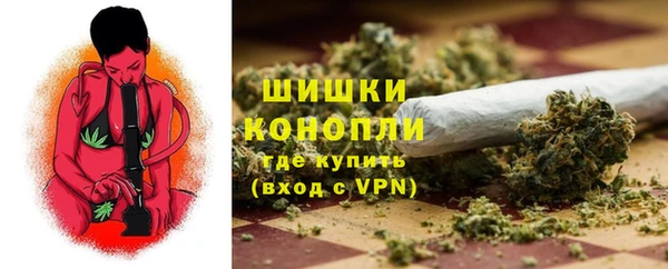 spice Богданович