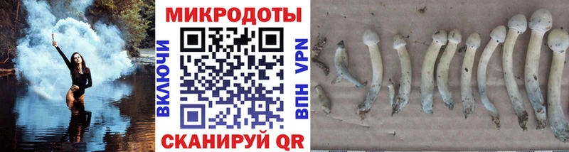 Галлюциногенные грибы Magic Shrooms  Фрязино 